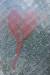 antiochscribbles-0270.jpg