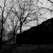 DSC_4827.jpg