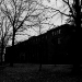 DSC_4830.jpg