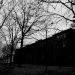 DSC_4831.jpg