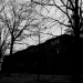 DSC_4832.jpg