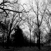 DSC_4834.jpg