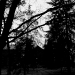 DSC_4837.jpg