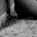 DSC_4846.jpg