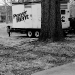 DSC_4852.jpg