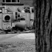 DSC_4858.jpg