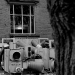 DSC_4859.jpg