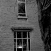 DSC_4861.jpg