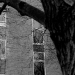 DSC_4863.jpg