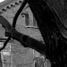 DSC_4864.jpg
