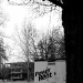 DSC_4874.jpg