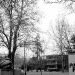 DSC_4875.jpg
