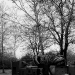 DSC_4876.jpg
