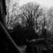 DSC_4878.jpg