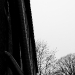 DSC_4879.jpg
