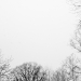 DSC_4882.jpg
