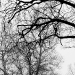DSC_4884.jpg