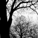 DSC_4886.jpg