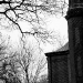 DSC_4887.jpg
