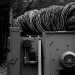 DSC_4892.jpg