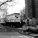 DSC_4906.jpg
