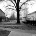 DSC_4907.jpg
