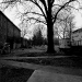 DSC_4908.jpg