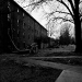 DSC_4909.jpg