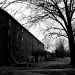 DSC_4910.jpg