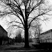 DSC_4911.jpg