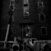 DSC_4914.jpg