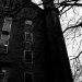 DSC_4916.jpg