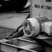 DSC_4923.jpg