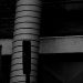 DSC_4924.jpg