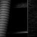 DSC_4926.jpg