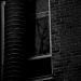 DSC_4930.jpg
