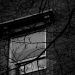 DSC_4936.jpg