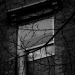 DSC_4937.jpg