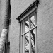 DSC_4942.jpg