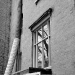 DSC_4943.jpg