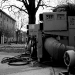DSC_4954.jpg