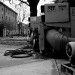 DSC_4955.jpg