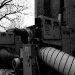 DSC_4956.jpg