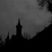 DSC_4964.jpg