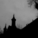 DSC_4965.jpg