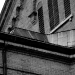DSC_4971.jpg