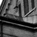 DSC_4972.jpg