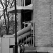 DSC_4973.jpg