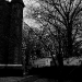 DSC_4974.jpg