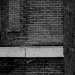 DSC_4989.jpg